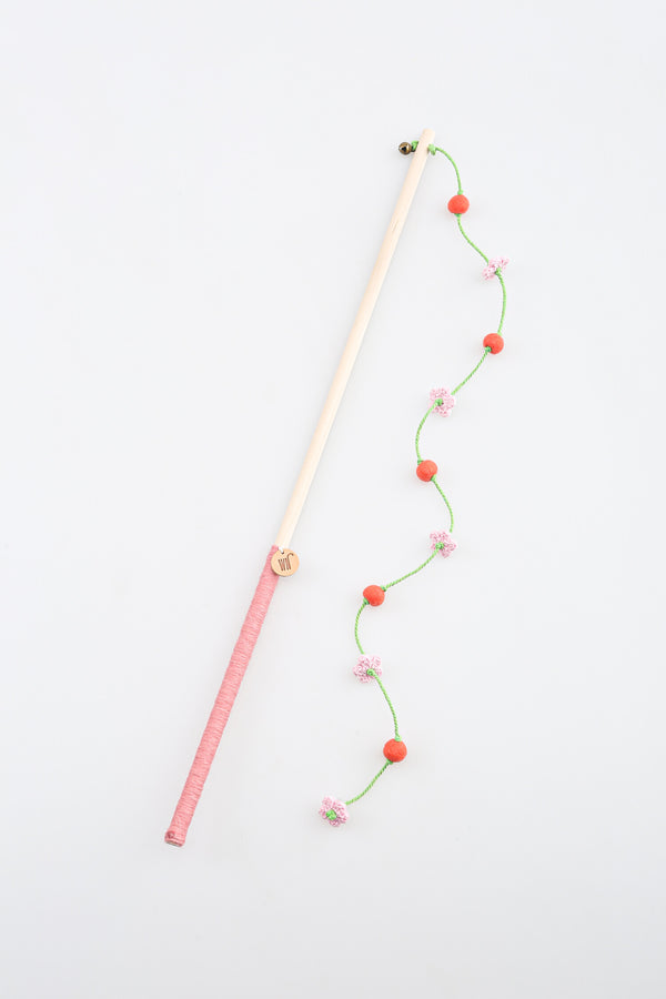 Cherry Blossom