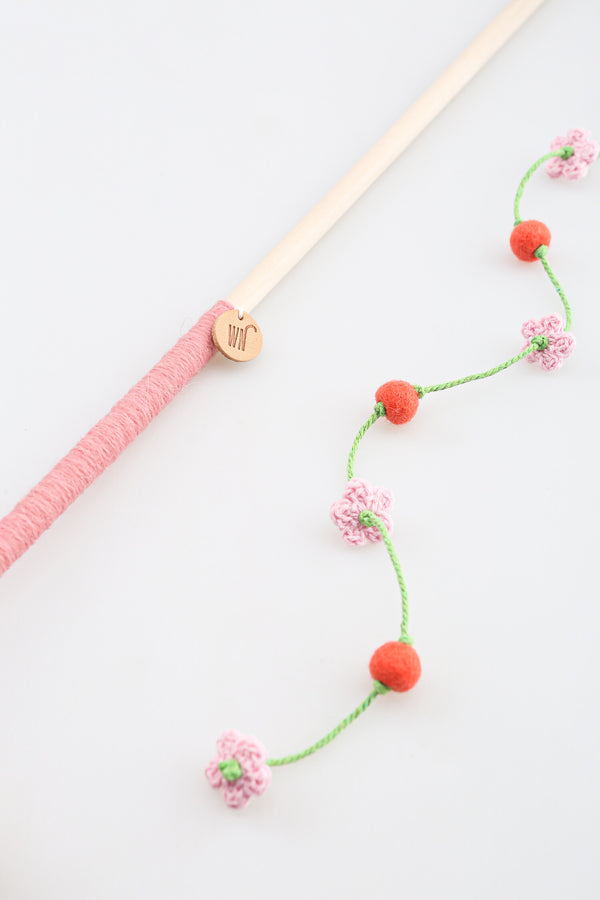 Cherry Blossom