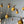 Honeybee Cat Toy