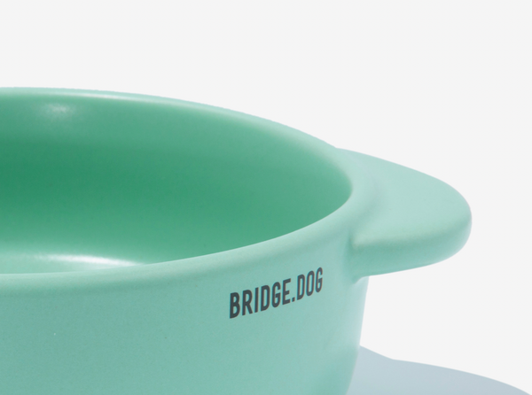 Bridge Pot - Mint (Matte)