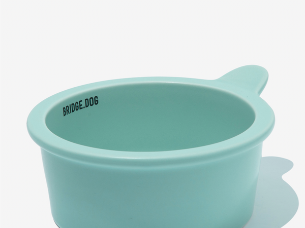 Mini Bowl - Mint (Matte)