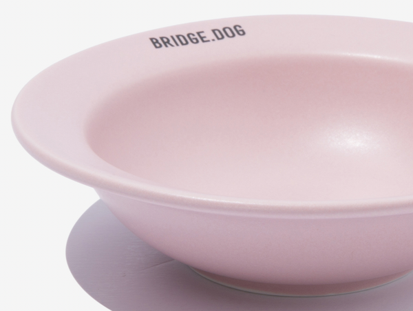 Mini Dish - Pink (Matte)