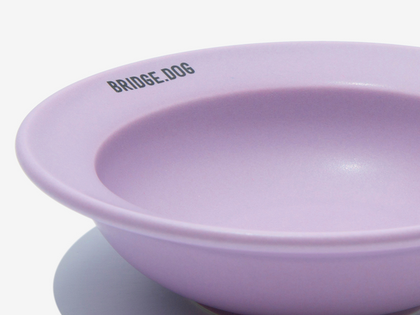 Mini Dish - Violet (Matte)