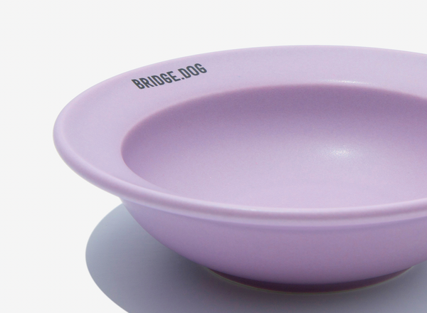 Mini Dish - Violet (Matte)