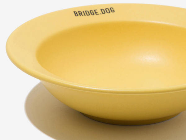 Mini Dish - Yellow (Matte)