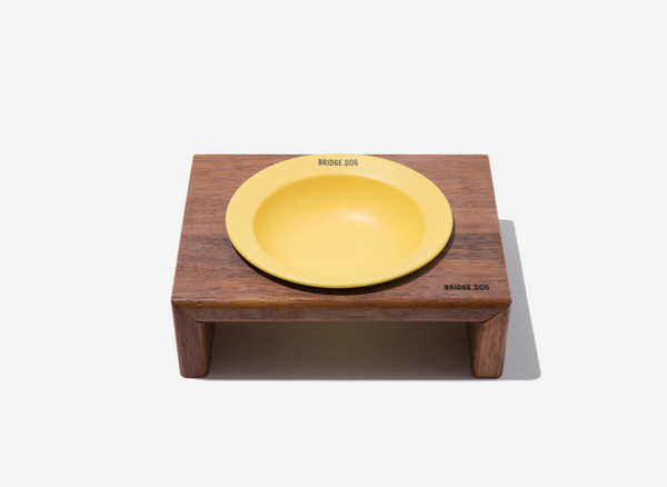 Mini Dish - Yellow (Matte)