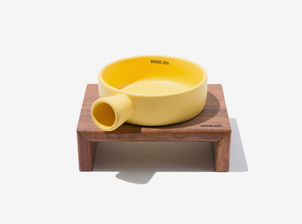 Bridge Pan - Yellow (Matte)