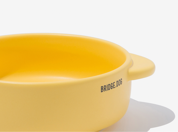 Bridge Pot - Yellow (Matte)